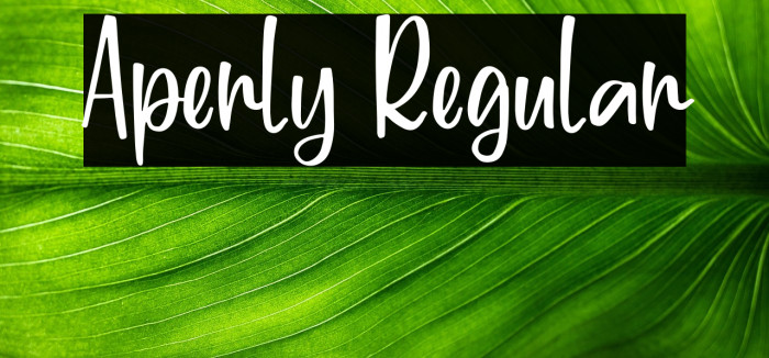 Aperly Regular Example 3