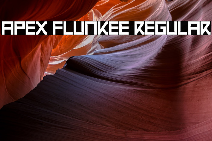 Apex Flunkee Regular Font examples