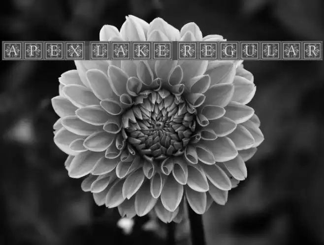 Apex Lake Regular Font examples