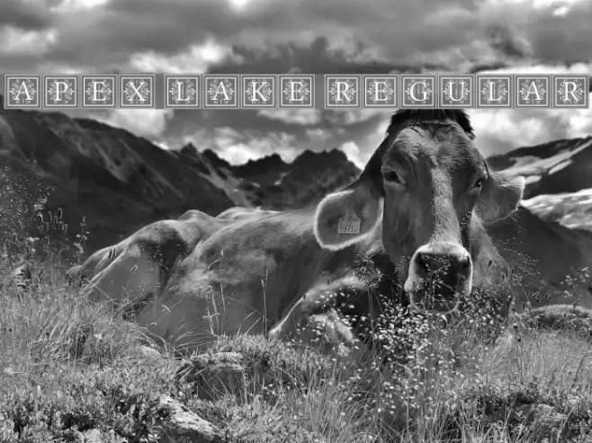 Apex Lake Regular Font examples