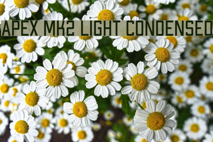 Apex Mk2 Light Condensed Font examples