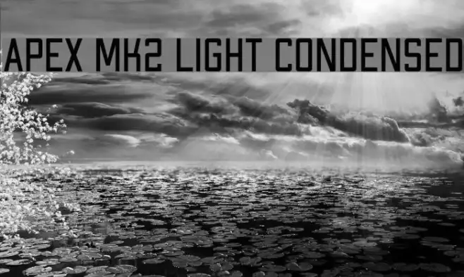 Apex Mk2 Light Condensed Example 3