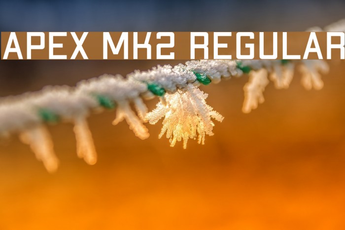 Apex Mk2 Regular Font examples