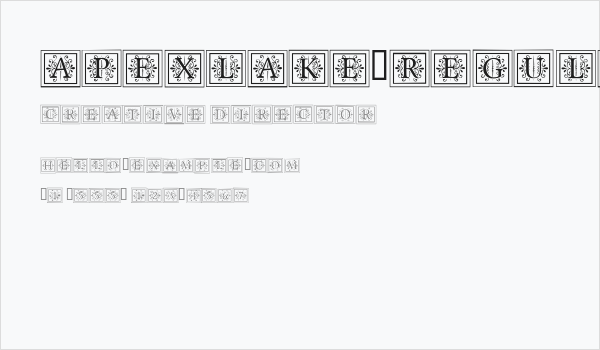 ApexLake-Regular Business Card