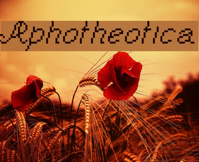 Aphotheotica Example 3