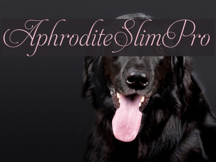 AphroditeSlimPro Example 1