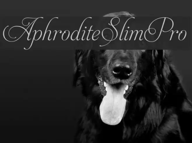 AphroditeSlimPro Example 1