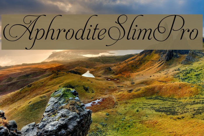 AphroditeSlimPro Example 2