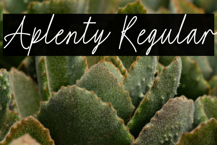 Aplenty Regular Example 1