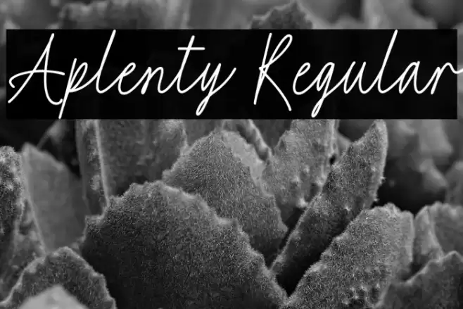 Aplenty Regular Font examples