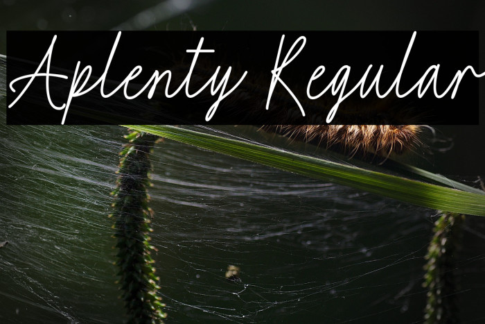 Aplenty Regular Example 2