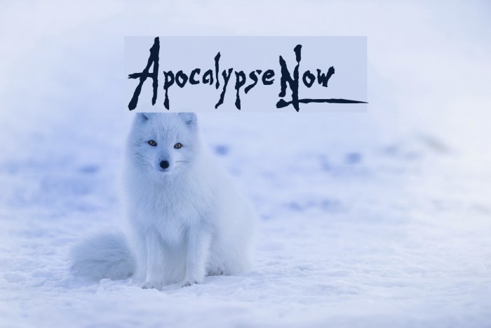 Apocalypse-Now Шрифта examples