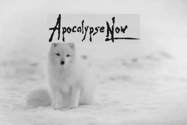 Apocalypse-Now Шрифта examples