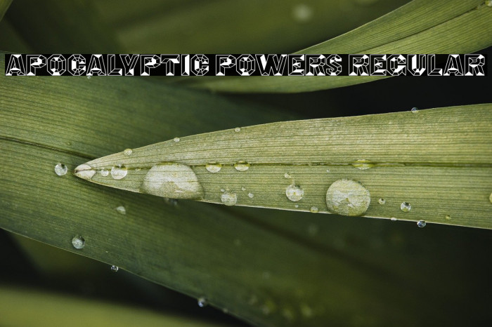 Apocalyptic Powers Regular Example 1