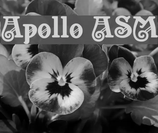 Apollo ASM Font examples