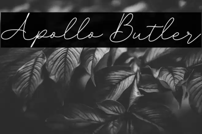 Apollo Butler Fuentes examples