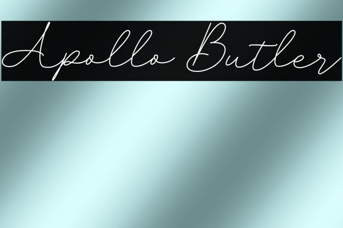 Apollo Butler Example 3