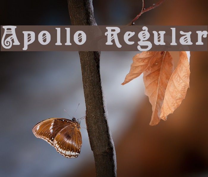 Apollo Regular Schriftart examples