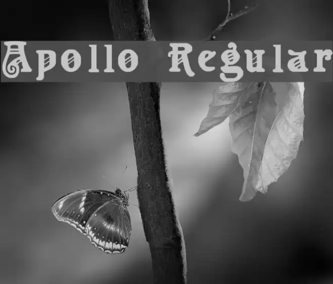 Apollo Regular Font examples