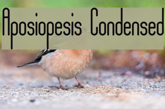 Aposiopesis Condensed Font examples