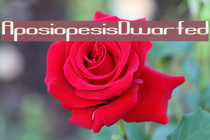 AposiopesisDwarfed Font examples