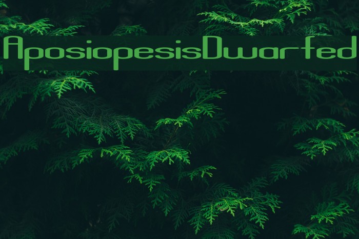 AposiopesisDwarfed Font examples