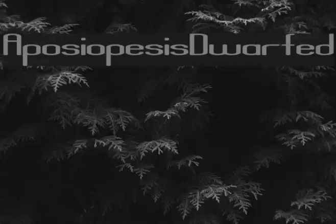 AposiopesisDwarfed Schriftart examples