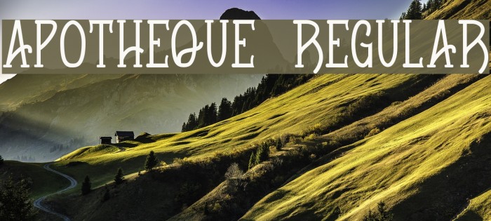 Apotheque Regular Example 2