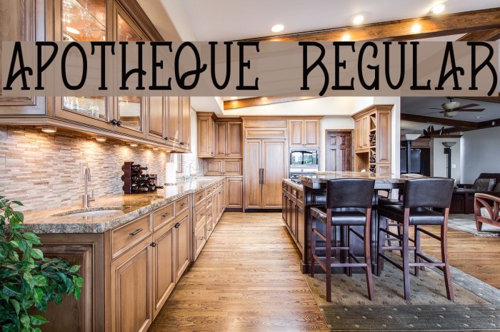 Apotheque Regular Example 3