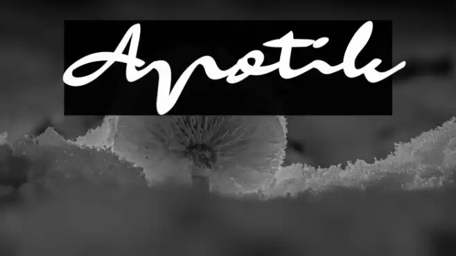 Apotik Font examples