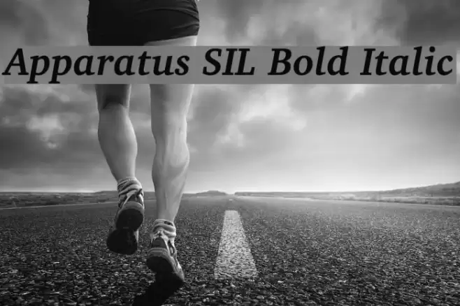 Apparatus SIL Bold Italic Font examples