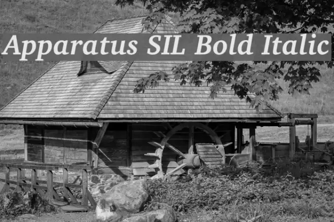 Apparatus SIL Bold Italic Font examples