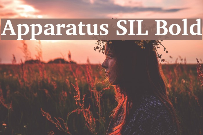 Apparatus SIL Bold Font examples