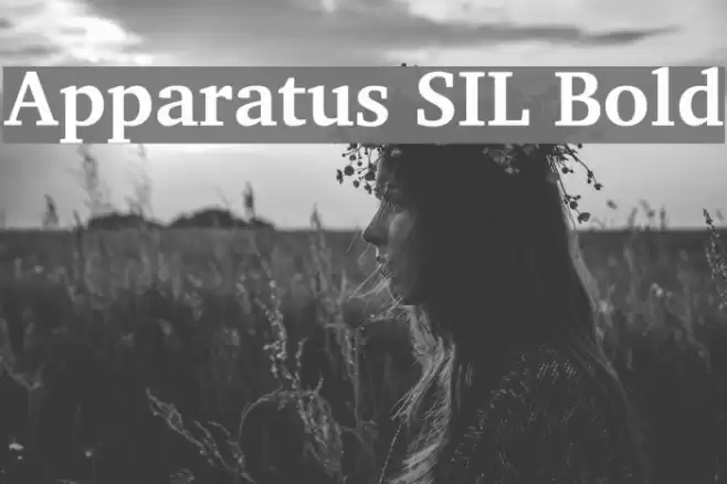 Apparatus SIL Bold examples