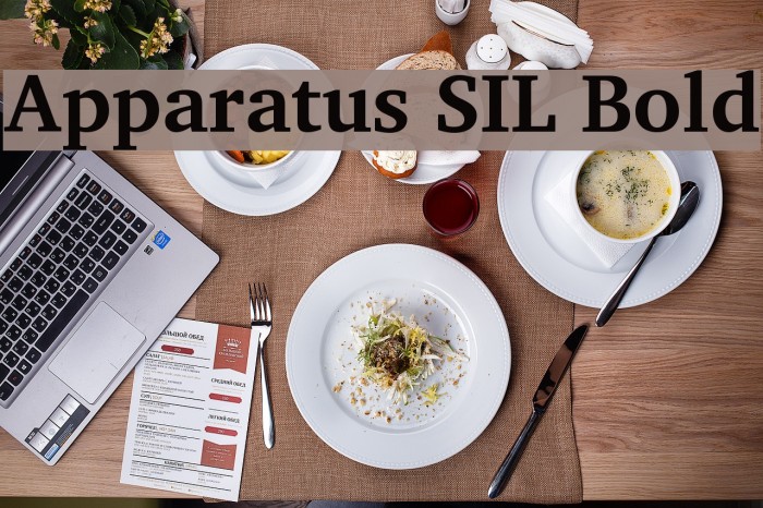 Apparatus SIL Bold Font examples