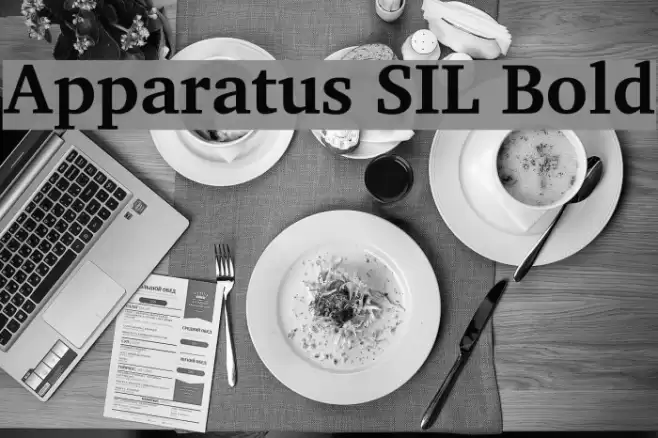 Apparatus SIL Bold examples