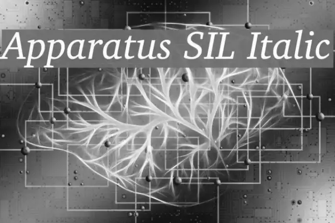 Apparatus SIL Italic Example 3