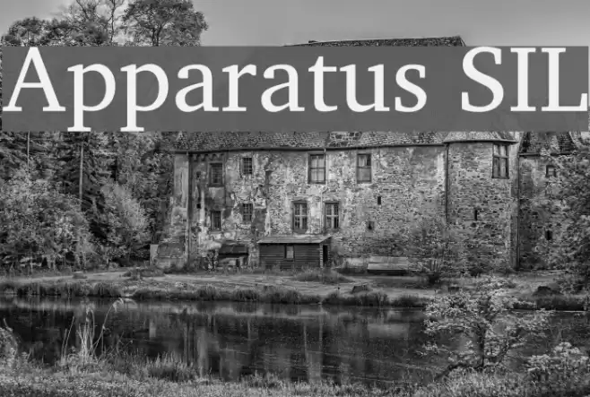 Apparatus SIL examples