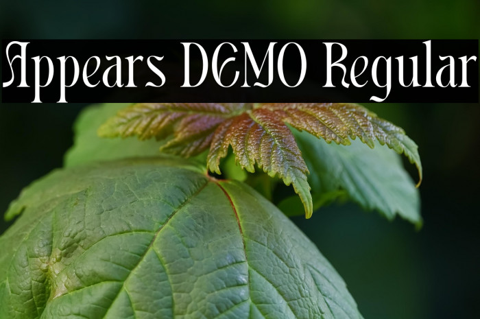 Appears DEMO Regular Example 2