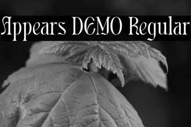 Appears DEMO Regular Example 2