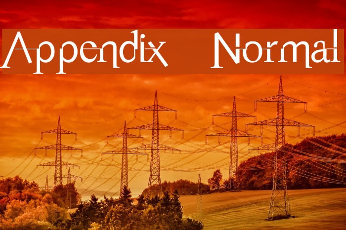 Appendix Normal フォント examples