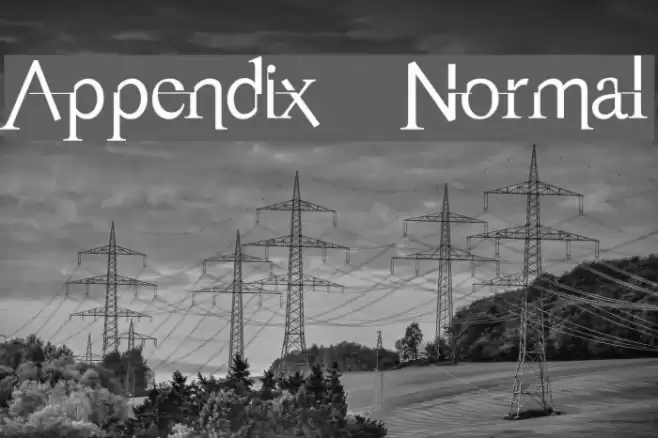 Appendix Normal Font examples