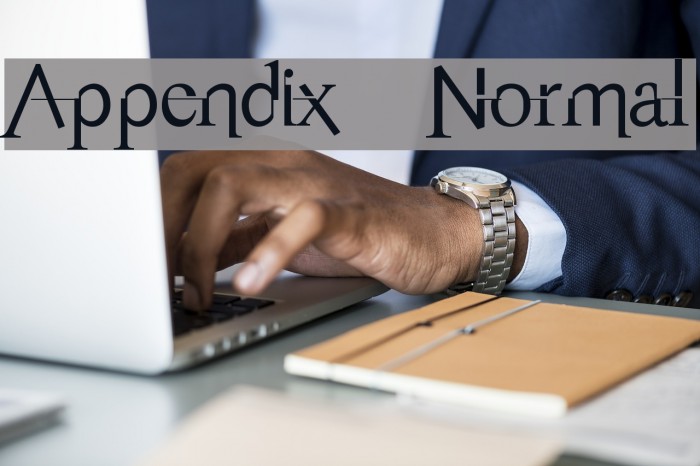 Appendix Normal フォント examples