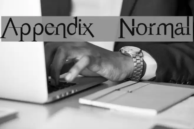 Appendix Normal Font examples
