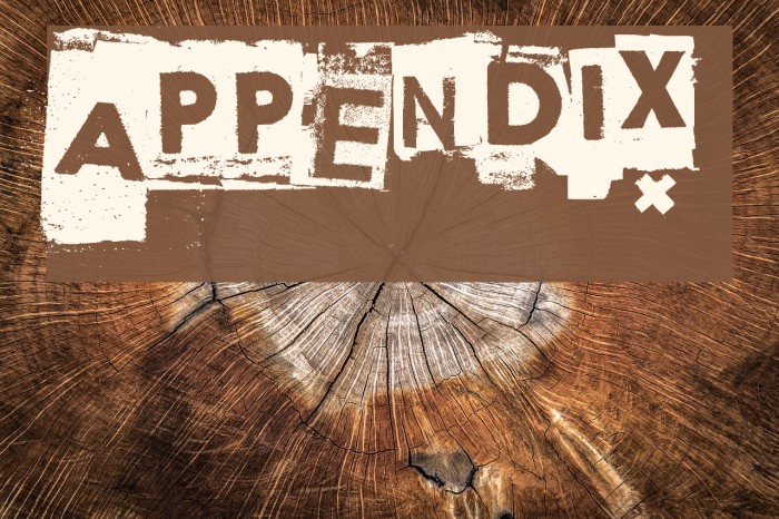 Appendix Шрифта examples