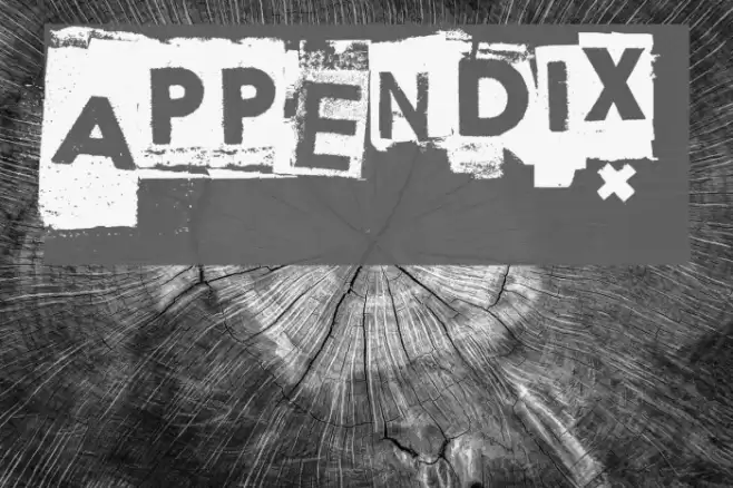 Appendix Шрифта examples