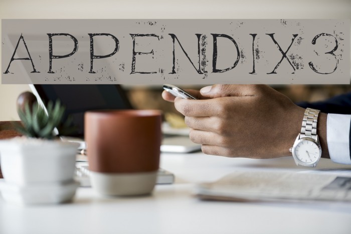 Appendix3 Font examples