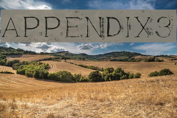 Appendix3 Font examples