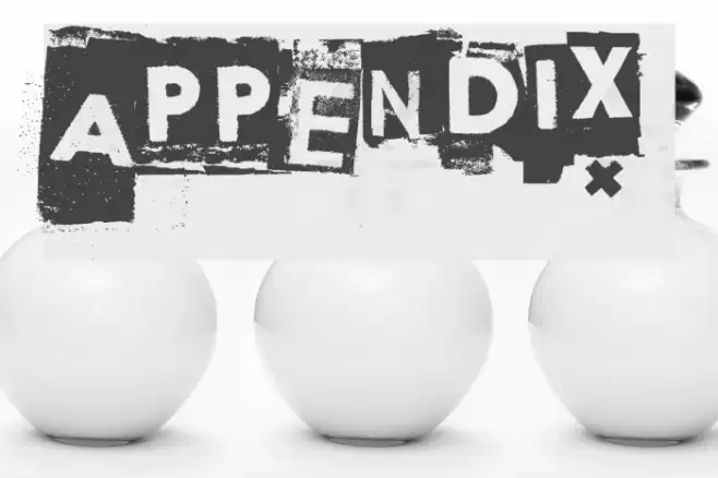 Appendix Font examples