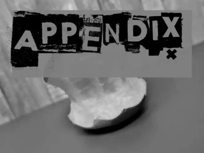 Appendix Font examples